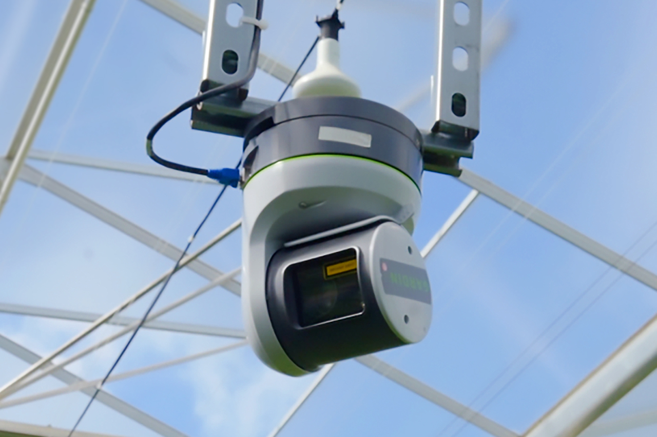 Smart Greenhouse Cameras in Strawberry growing greenhouse - Extraordinary Berries Co.